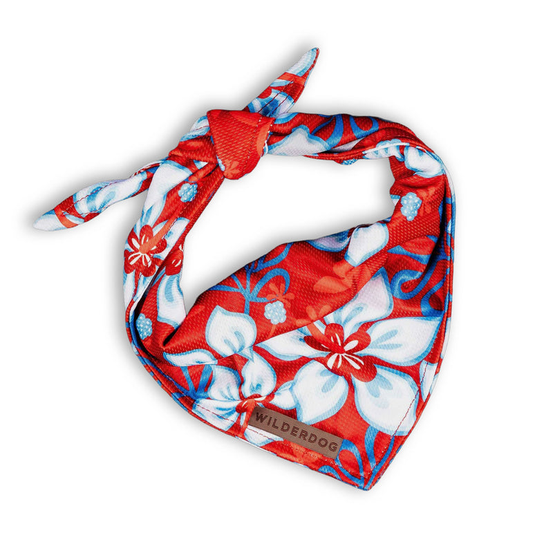 Aloha Bandana: Red and blue floral quick-dry bandana with white accents, knot-tied, labeled “Wilderdog.”.