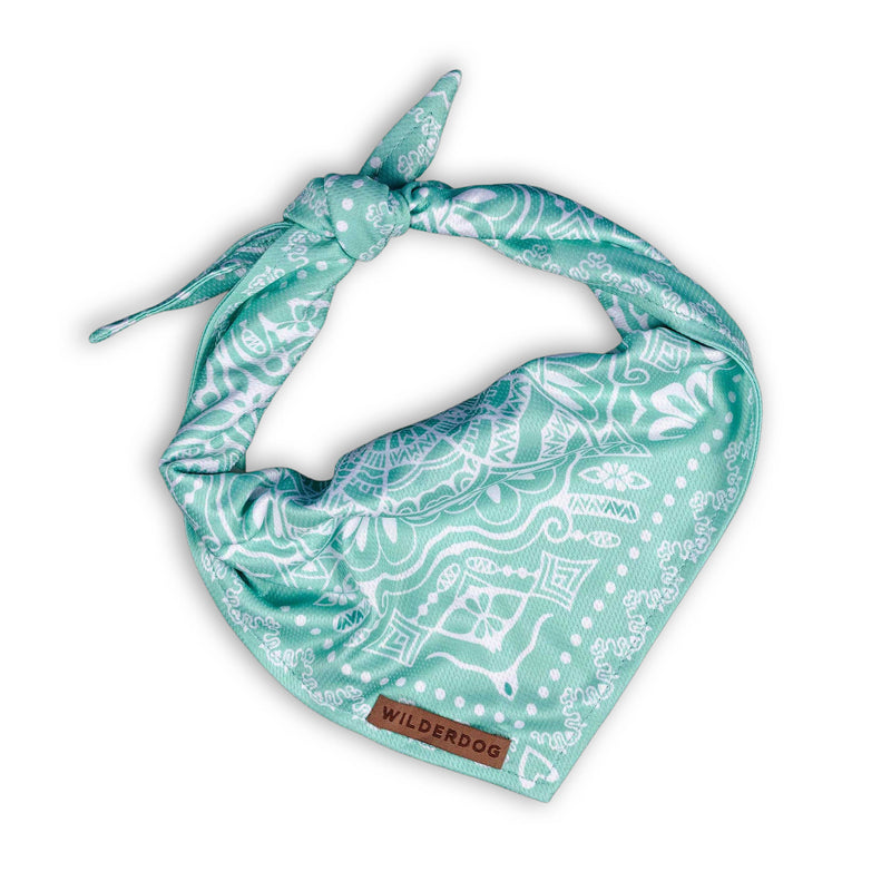 The Agave Bandana: mint green, white patterns, quick-dry, Wilderdog label, tied at top on white background.