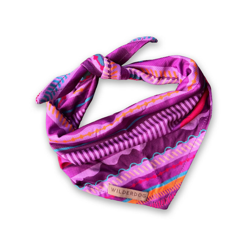 Dawn Bandana: Purple & pink patterned dog cooling bandana with knot, “Wilderdog” label—ideal for trail dogs.