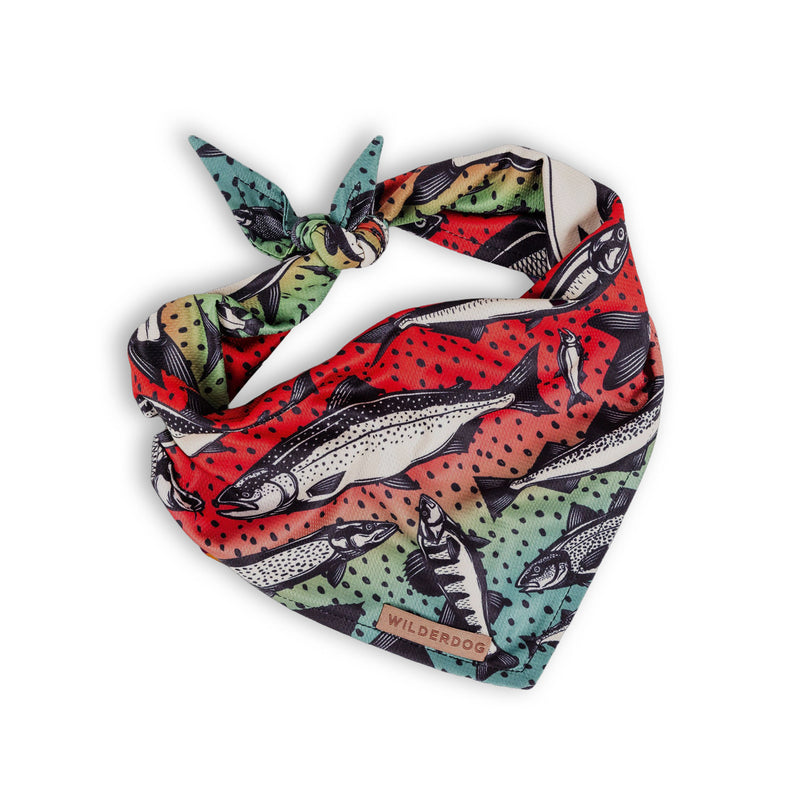 Gone Fishing Bandana: Lightweight mesh dog bandana with a fish pattern, perfect for keeping your pup cool in style.