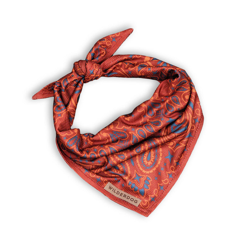Rodeo Bandana: lightweight, quick-drying red paisley with “Wilderdog” tag—perfect dog cooling accessory.
