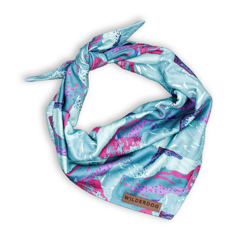 Alpenglow Bandana—blue and pink patterned dog cooling bandana with “Wilderdog” label, tied in a knot.