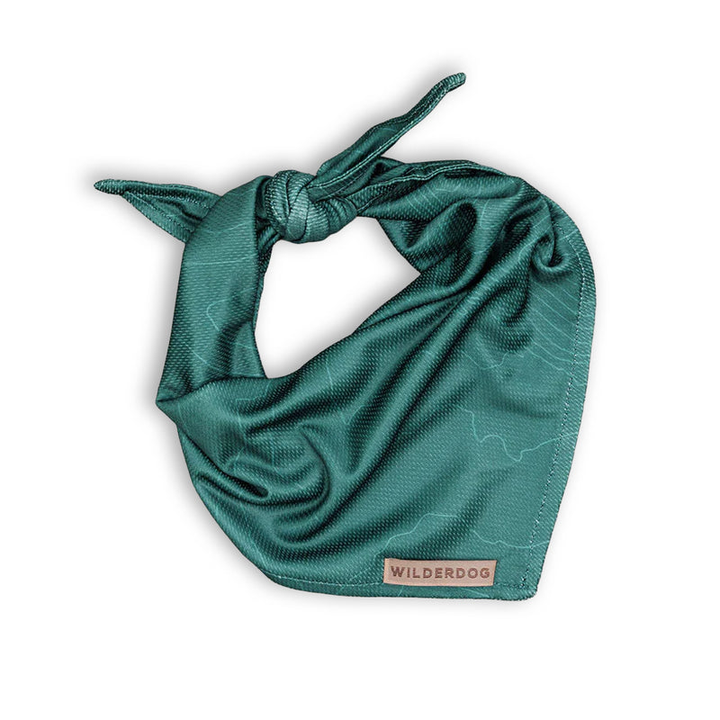 Evergreen Topo Bandana: lightweight teal dog bandana with “WILDERDOG” label, shown knotted on white background.