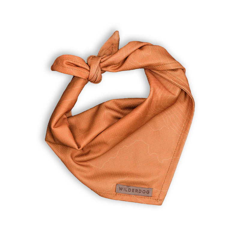 Orange Topo Bandana: Quick-dry dog bandana with “Wilderdog” label, stylish and cooling accessory.