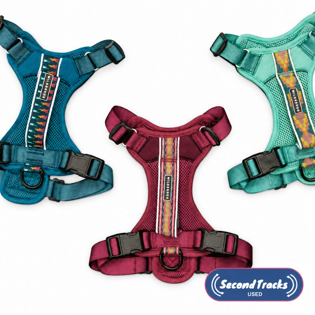 (Used) Harness