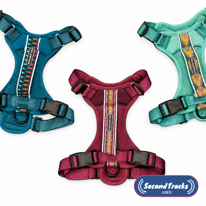 Three (Used) Harnesses in teal, mint, and maroon are displayed with a “Second Tracks” label.