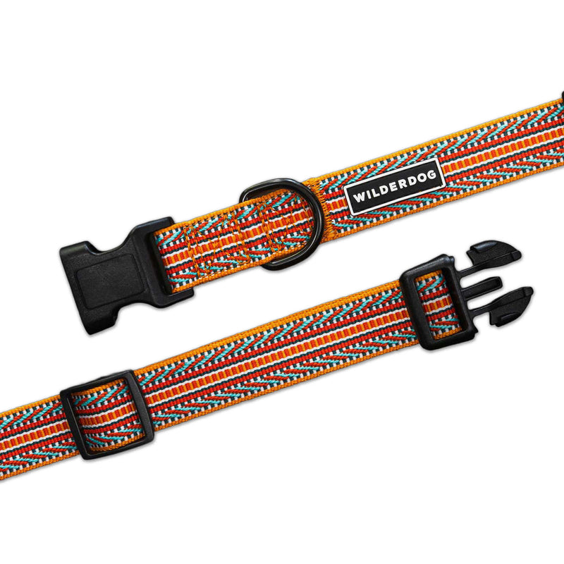 Sienna Ultralight Collar: colorful, lightweight polyester webbing with a heavy-duty plastic buckle.