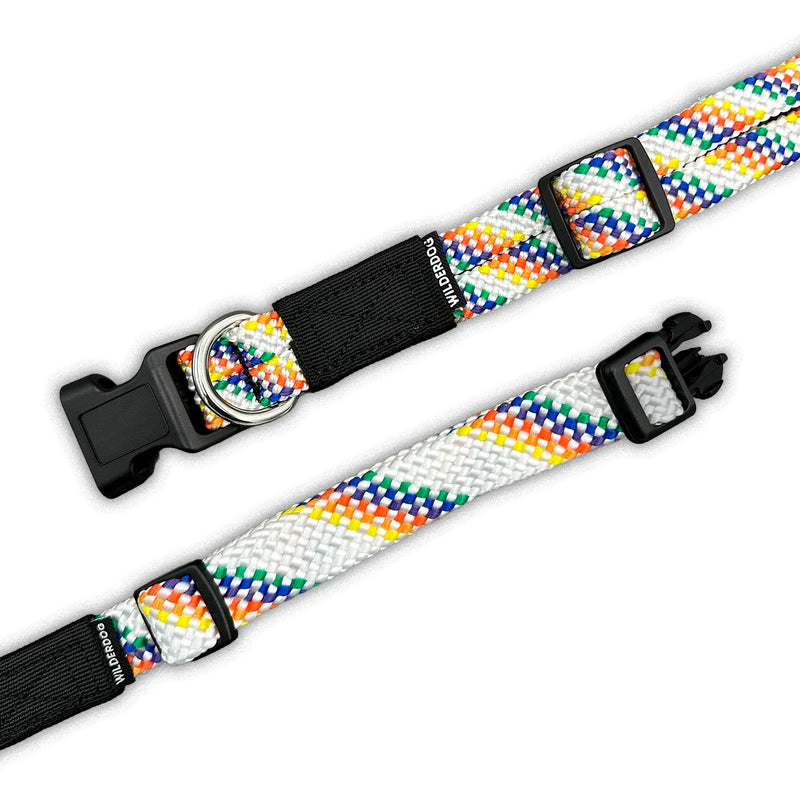 Two Rainbow Collars with black plastic buckles and metal rings are displayed on a white background.