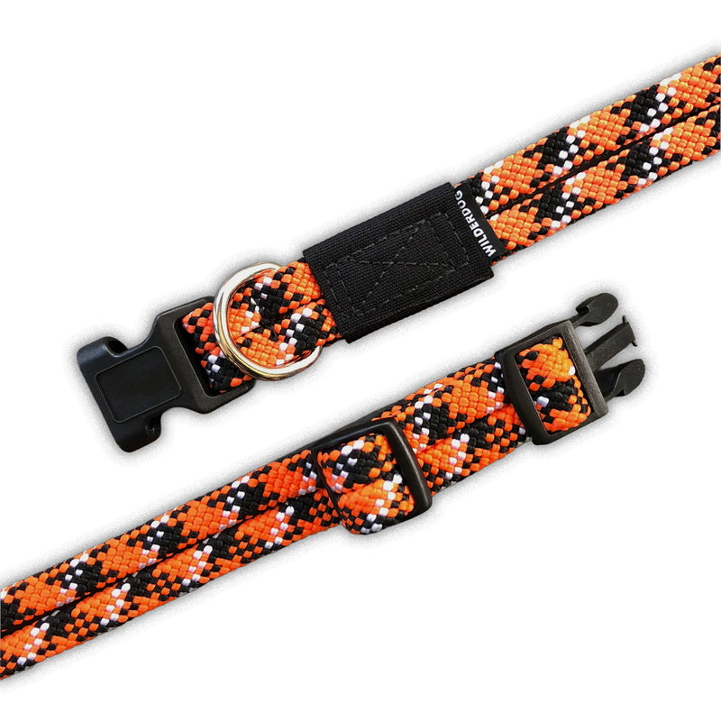 Two Wildcat Collars—orange, black & white pattern, with plastic buckles and metal rings on a white background.
