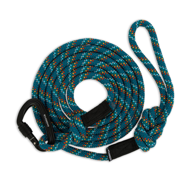 The Big Carabiner Rope Leash: blue with orange accents, coiled, and finished with a black locking carabiner attachment.