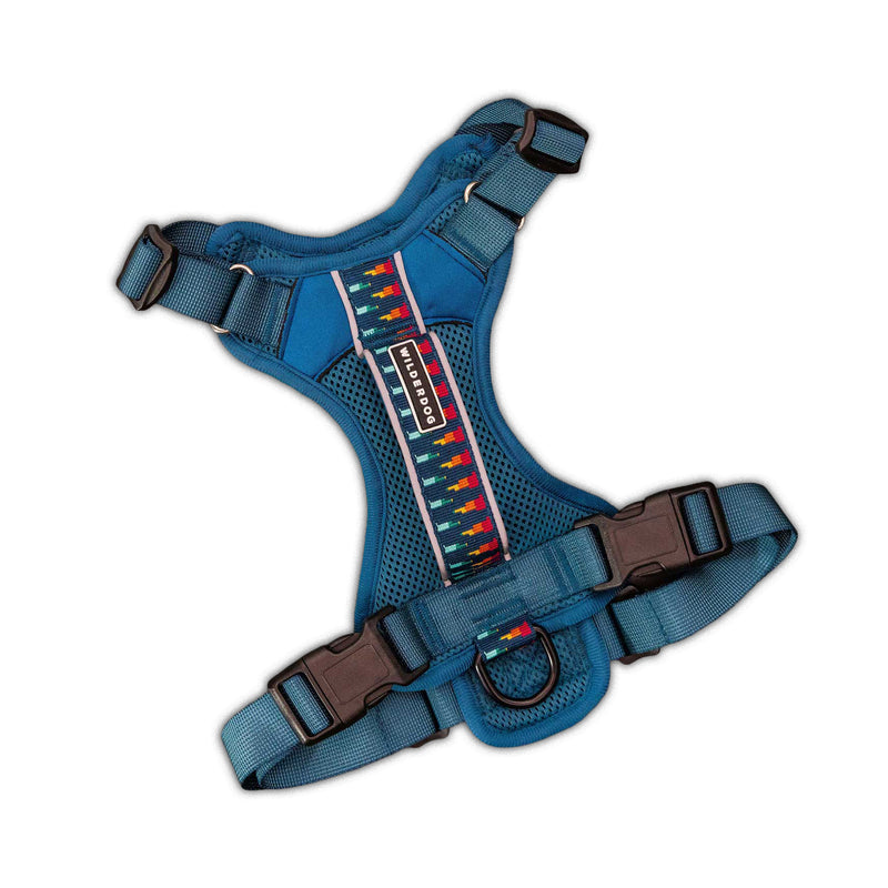 Dog Harness: Blue, reflective, colorful pattern, adjustable straps, plastic buckles. White background.
