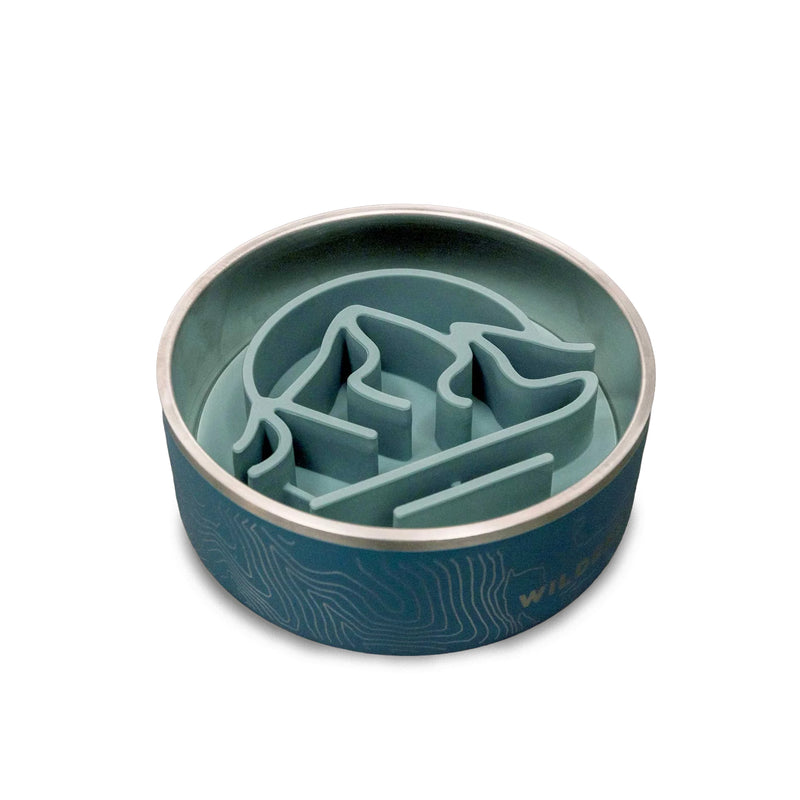 Teal and silver Silicone Slow Feeder Insert with raised maze for paced, healthy dog eating.