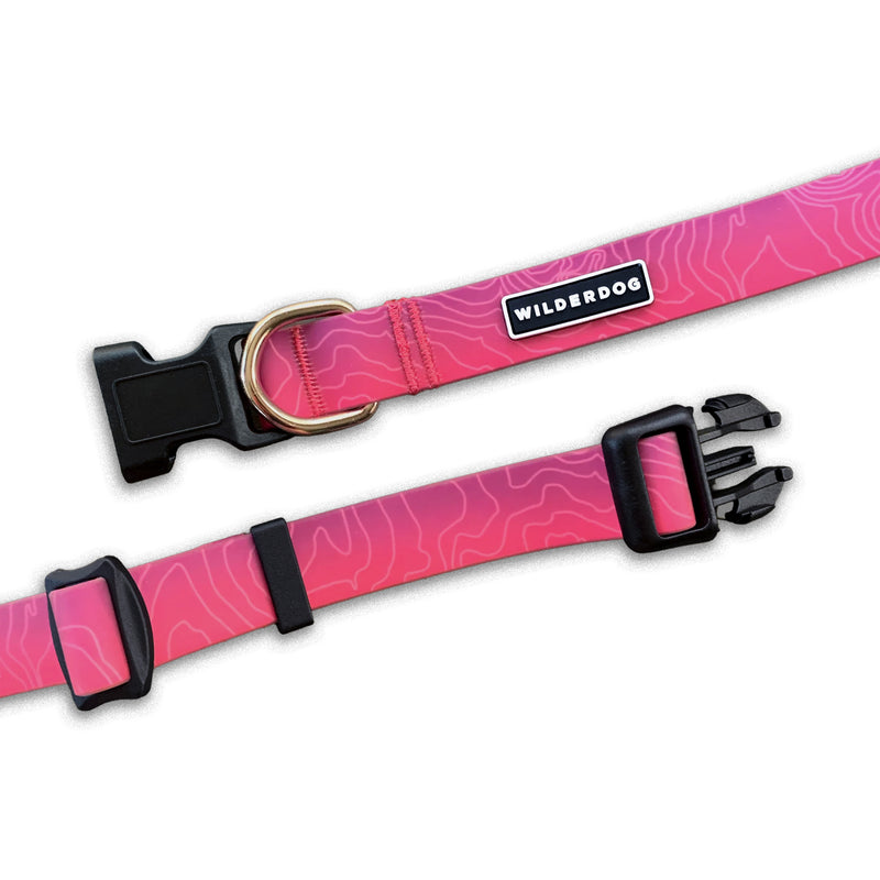 Two Plum Waterproof Collars: pink, abstract lines, black buckles, gold D-rings, Wilderdog labels—odor-free.