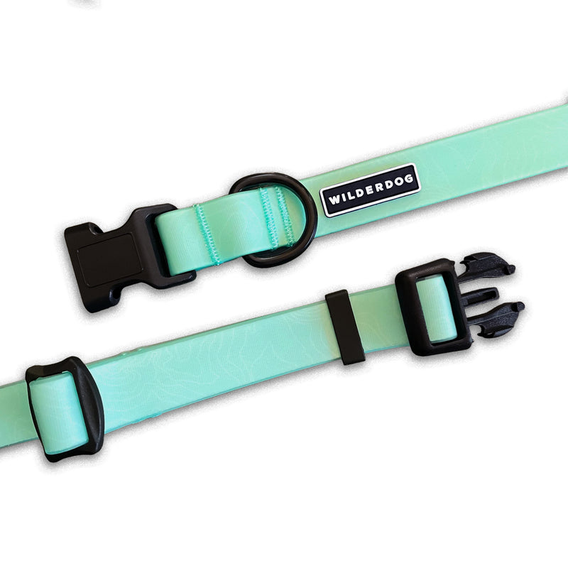 Two Seafoam Waterproof Collars with black buckles, D-rings, Wilderdog logo, on white background.