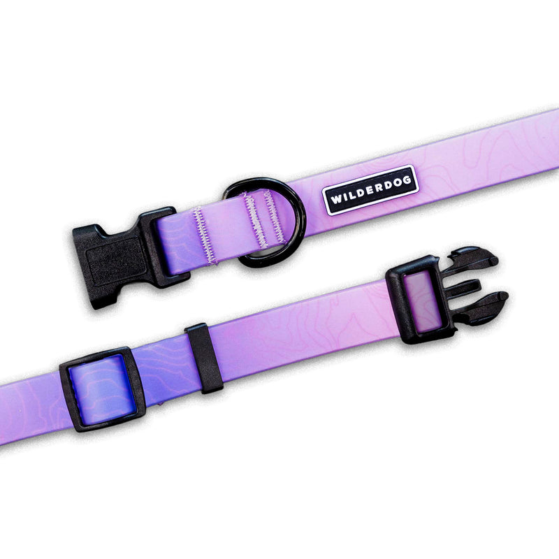 Aurora Waterproof Collar in purple with black buckle, D-ring, logo; durable dog collar shown on white background.