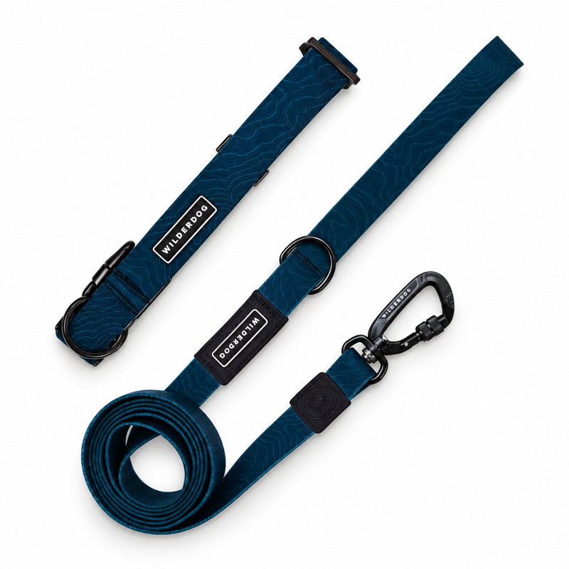 Pacific Blue Waterproof Pro Leash + Collar Bundle with black clips, neatly displayed on a white background.