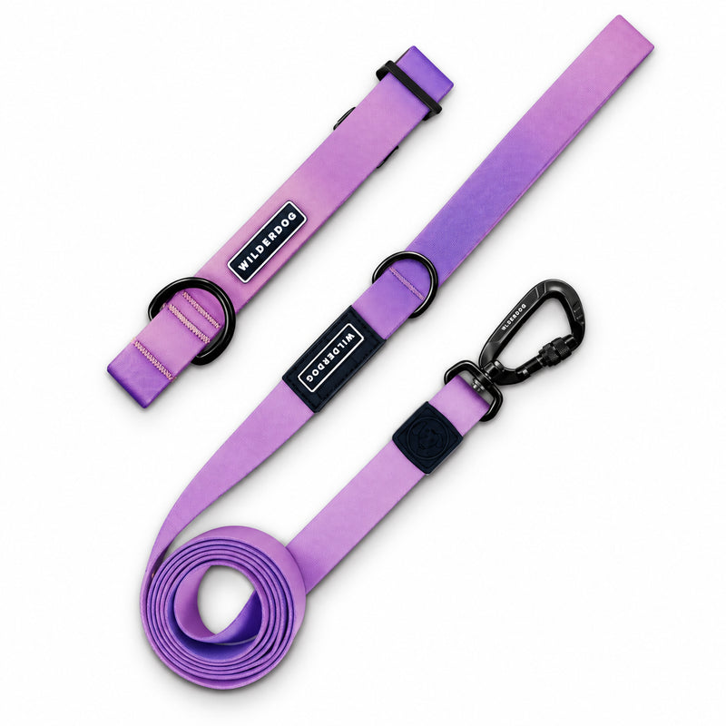 Aurora Waterproof Pro Leash + Collar Bundle in purple with black hardware and logo patches, on a white background.