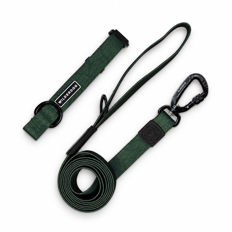 Cedar Waterproof Pro Leash + Collar Bundle, dark green leaf design, black hardware, stink-proof.