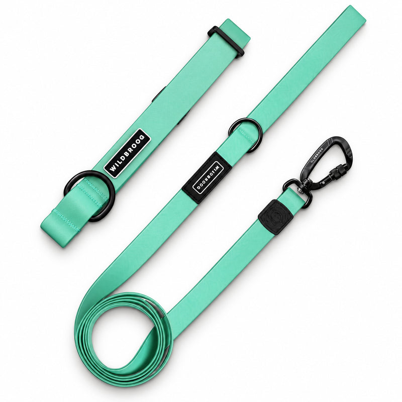 Seafoam Waterproof Pro Leash + Collar Bundle, stink-proof with black clasp and tags, on a white background.