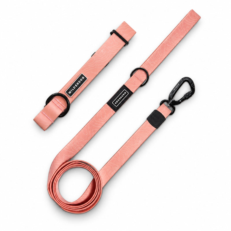 Guava Waterproof Pro Leash + Collar Bundle: wood-grain look, black hardware, Wild One tag; stylish & stink-proof.