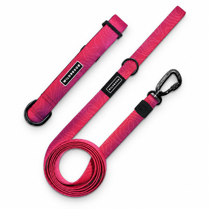 Plum Waterproof Pro Leash + Collar Bundle with mountain pattern, black clip, and Wild One x Everood labels.