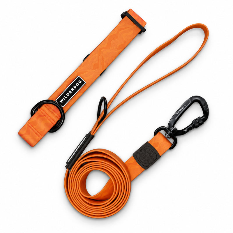 Terracotta Waterproof Pro Leash + Collar Bundle with black hardware; stink-proof, shown on white background.