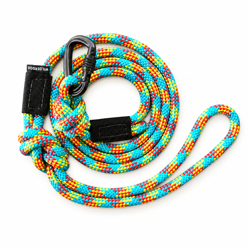 Aprés Small Carabiner Leash: Durable, colorful braided design with lock carabiner and loop handle for secure daily walks.