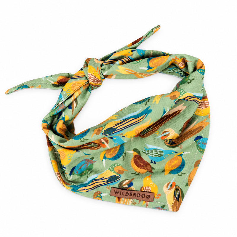 BAND-BIRDR bandana on a white background