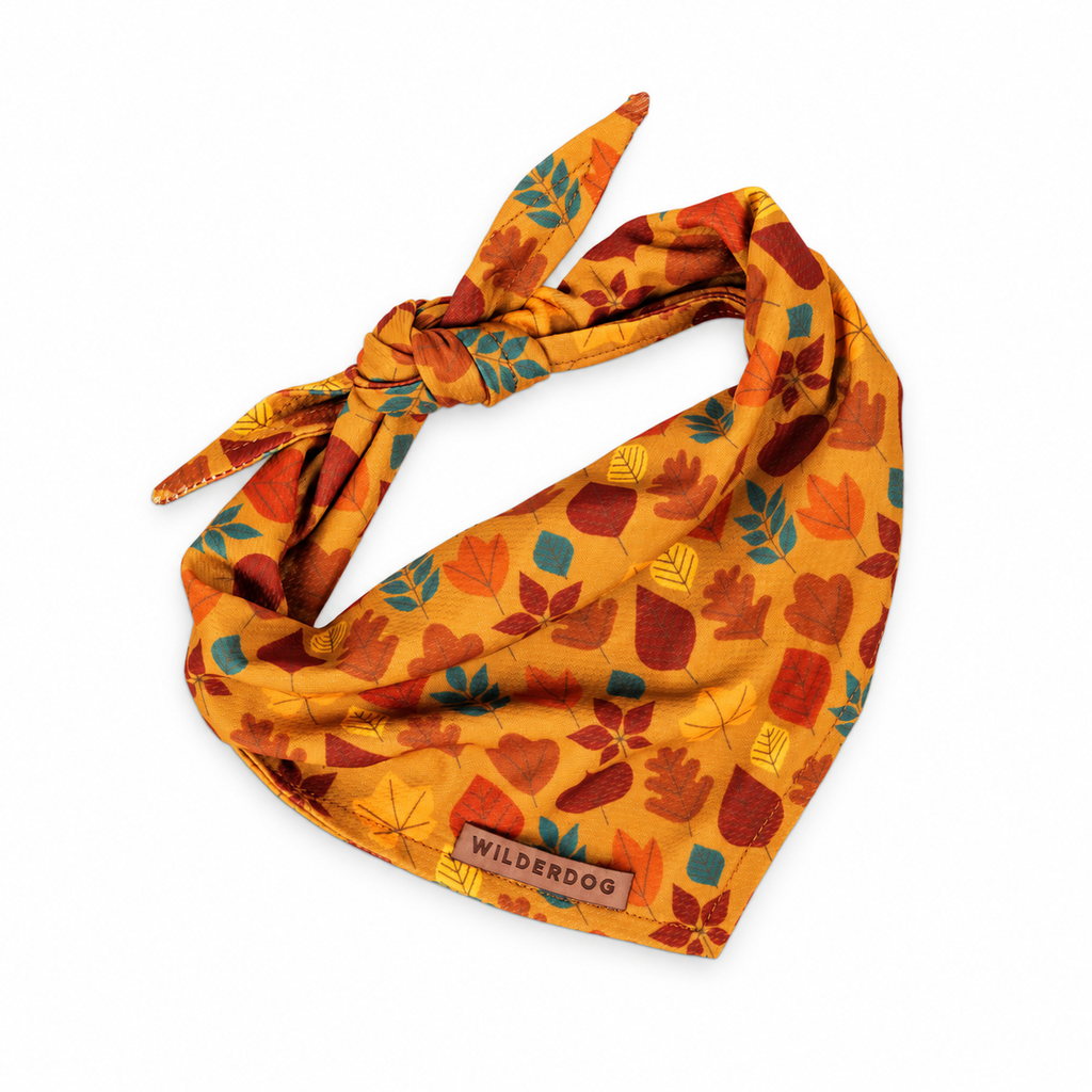 Hickory Bandana