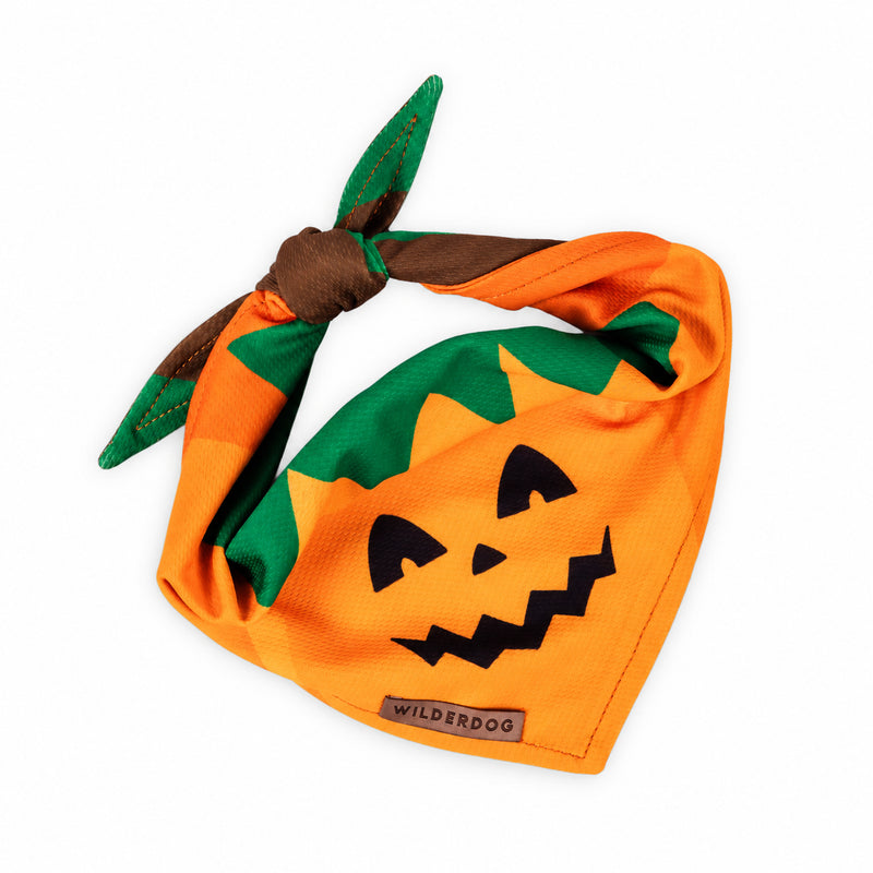 BAND-PUMPK bandana on a white background
