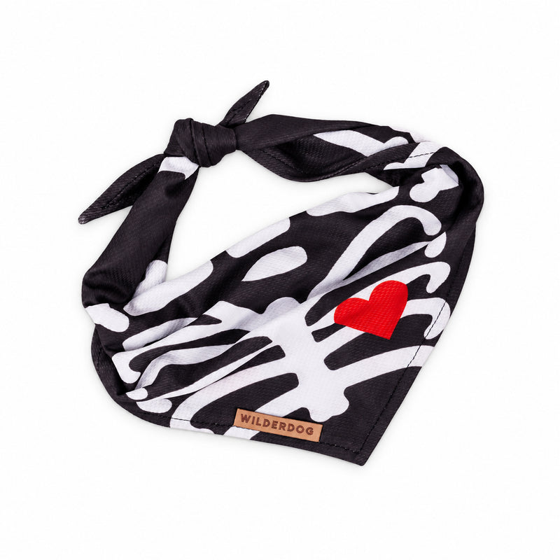 BAND-SKELE bandana on a white background