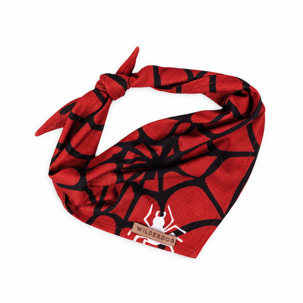 Spider Bandana