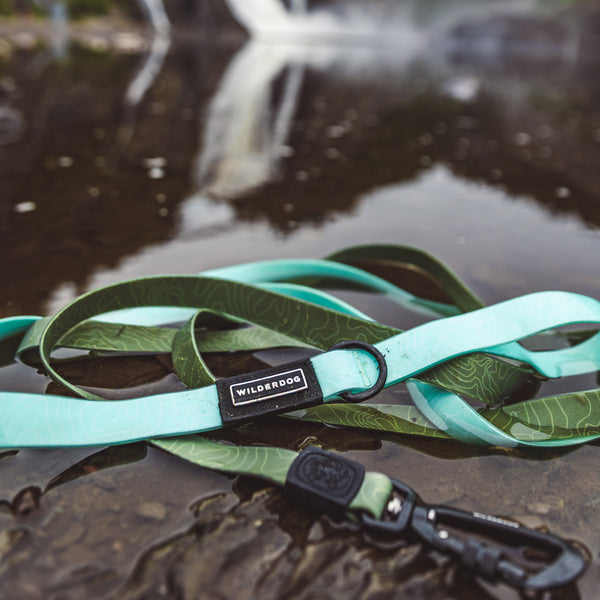 Waterproof Leashes