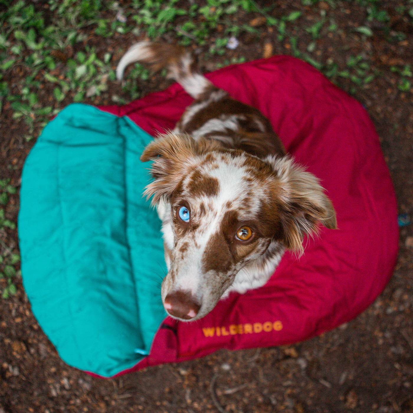 Sleeping Bag