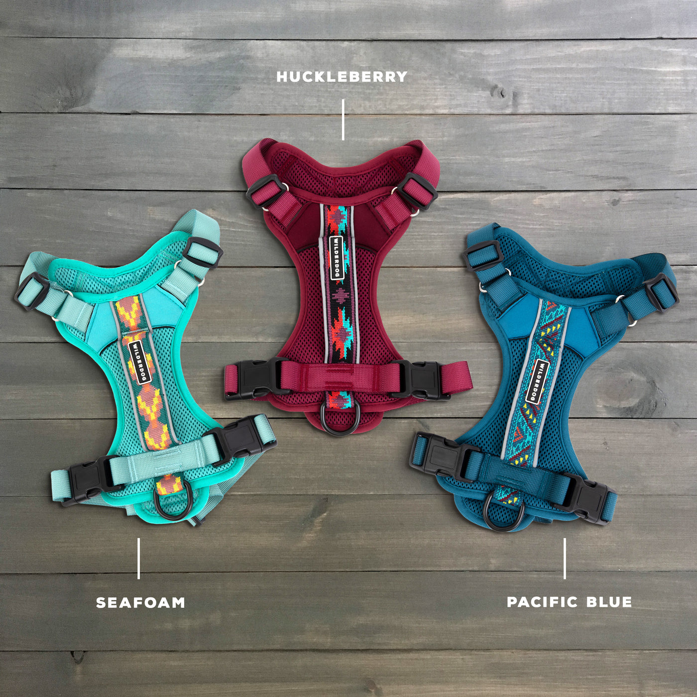 Wilderdogs on sale