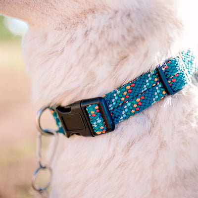 Pacific Blue Reflective Collar