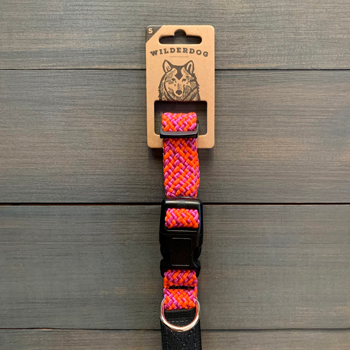Mod athletics dog leash sale