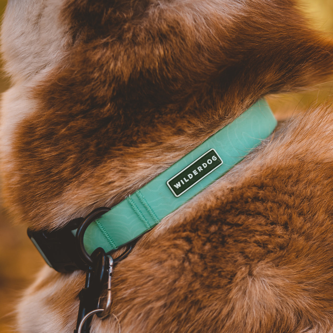 Seafoam Waterproof Collar