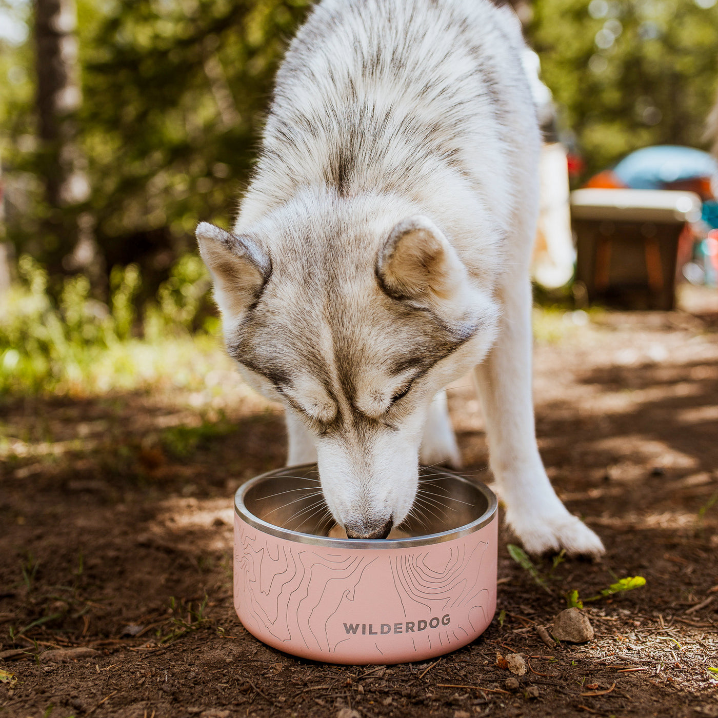 Yeti Boomer Dog Bowl, Stainless Steel, Non-Slip Dog Bowl, Holds 64 Ounces,  Stainless 64oz