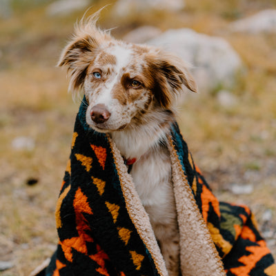 Sherpa Fleece Waterproof Blanket