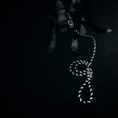 Lime Reflective Leash