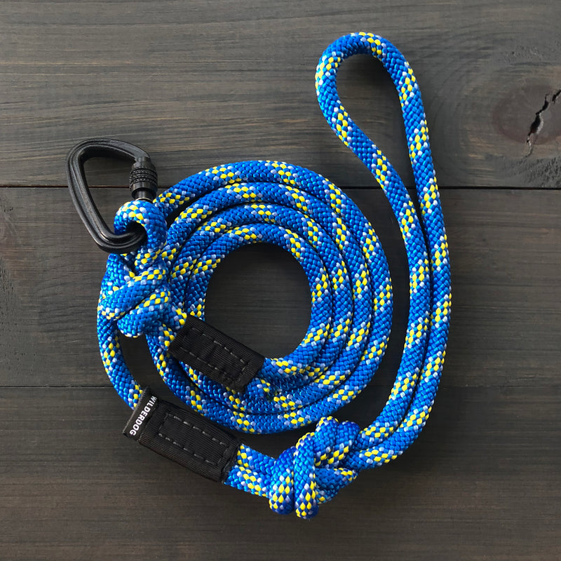 Mariner Small Carabiner Leash in blue and yellow, with black lock, resting on a dark wooden surface