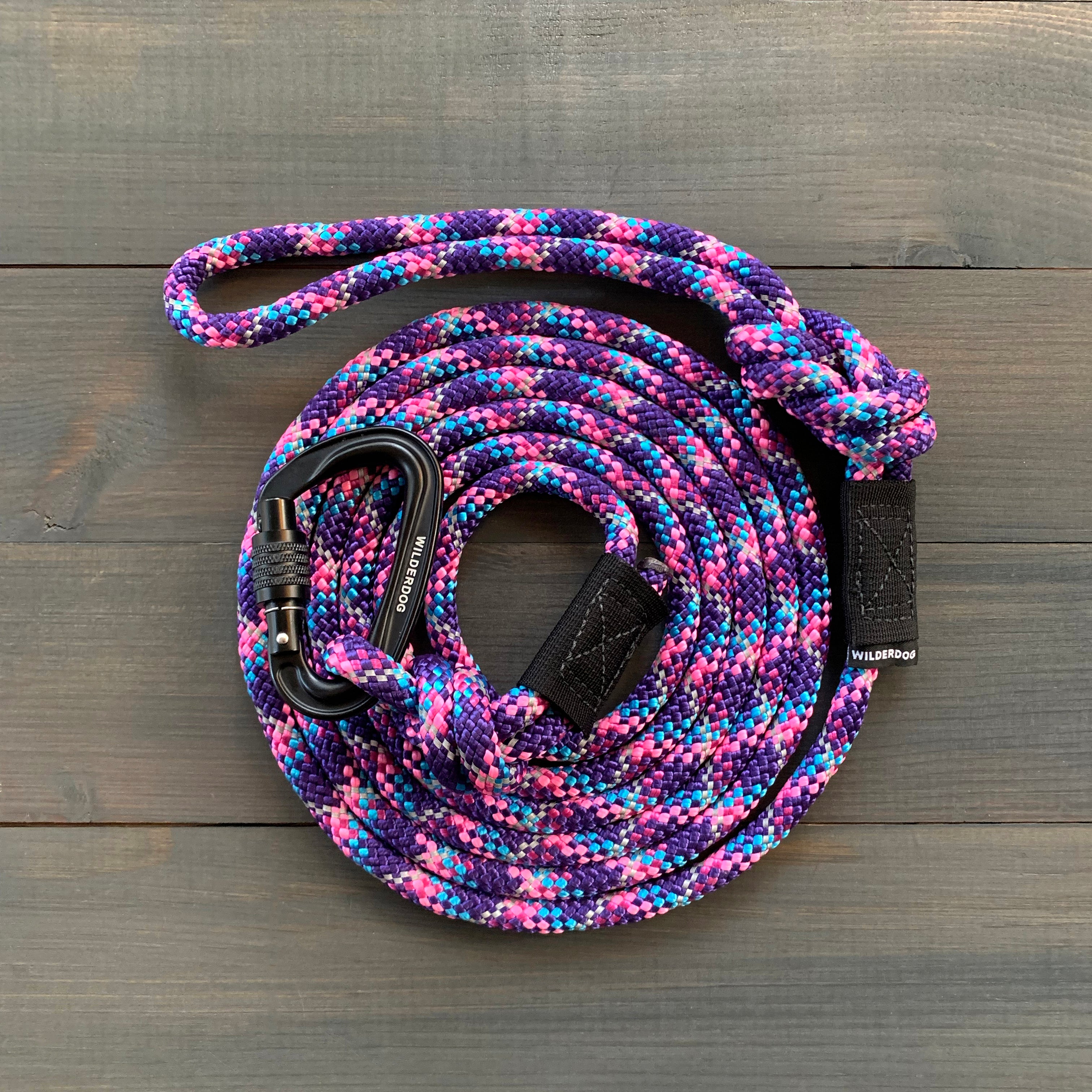 Leash for Millie