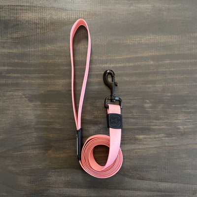 Guava Waterproof Leash