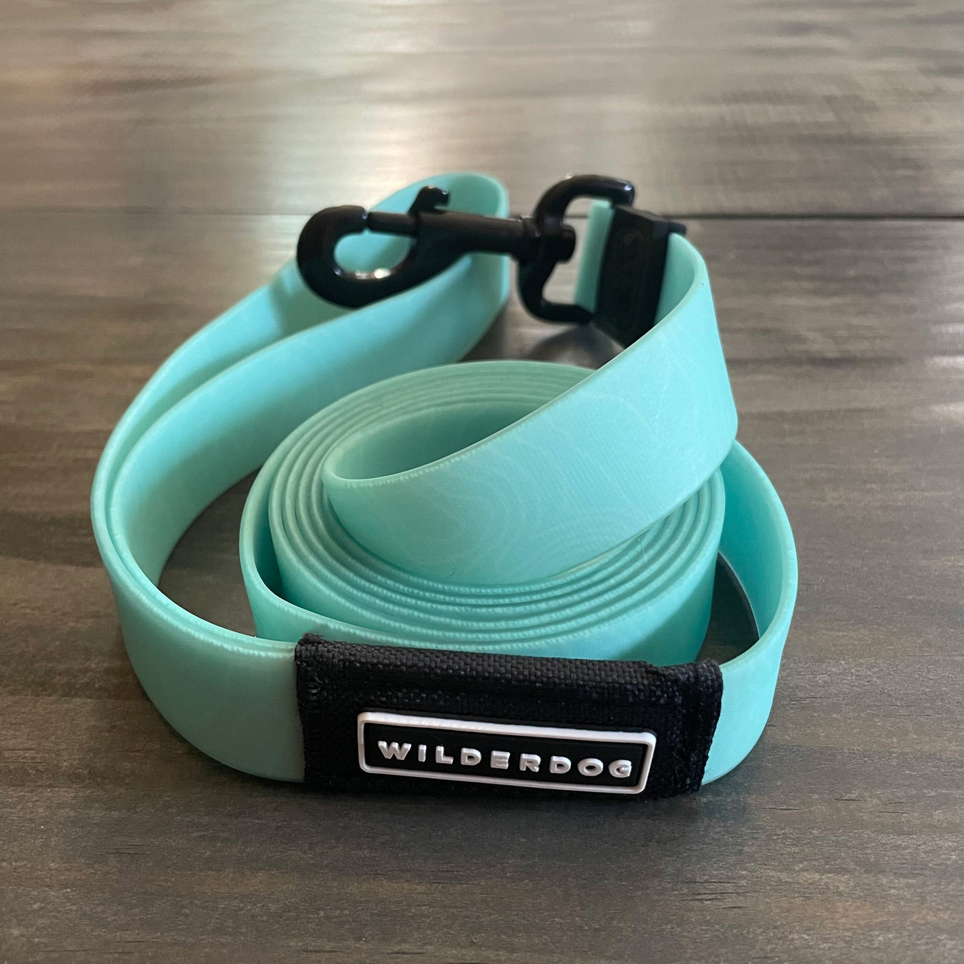 Seafoam Waterproof Leash