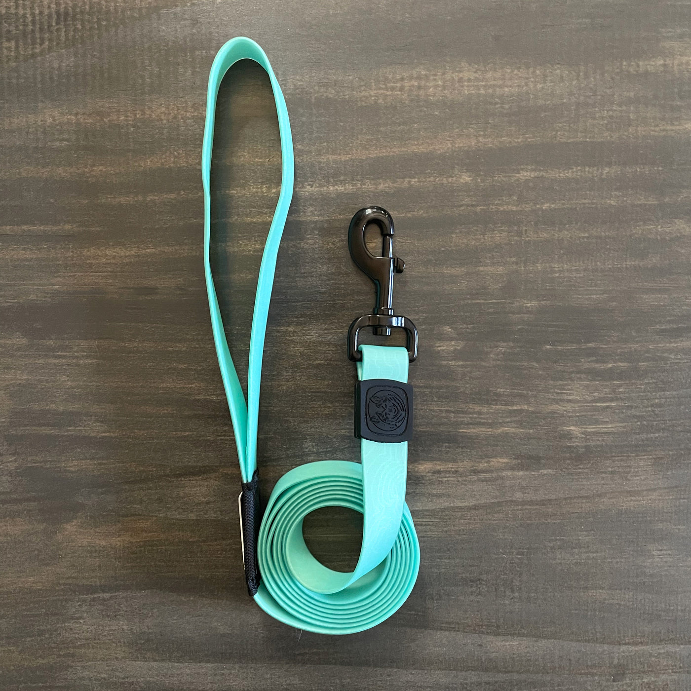 Seafoam Waterproof Leash