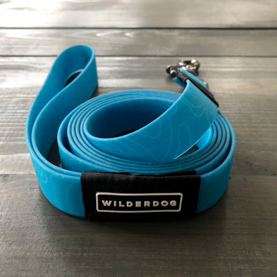 Teal Waterproof Leash