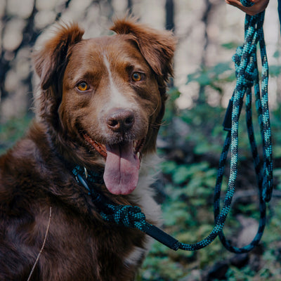 Granite Leash