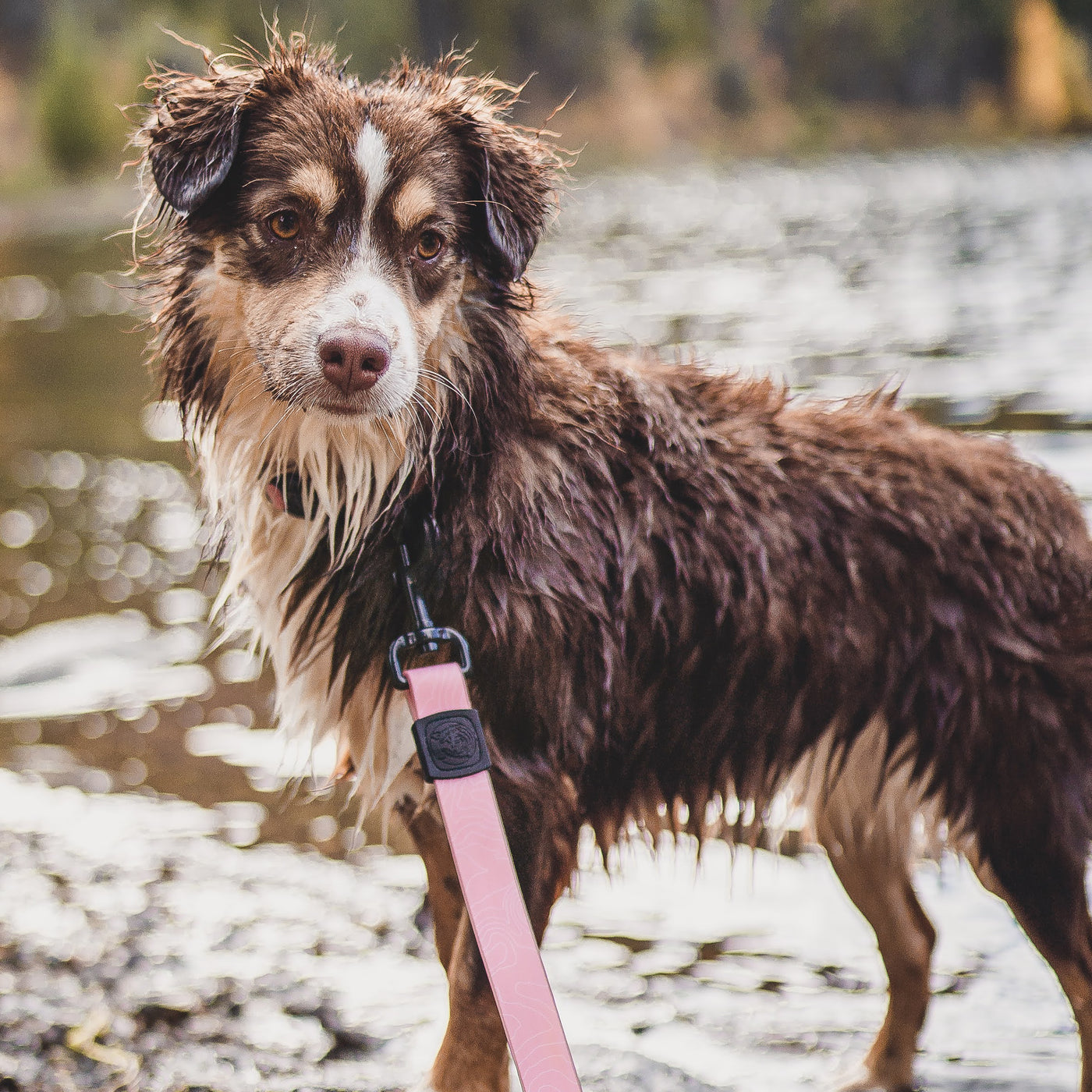 Guava Waterproof Leash