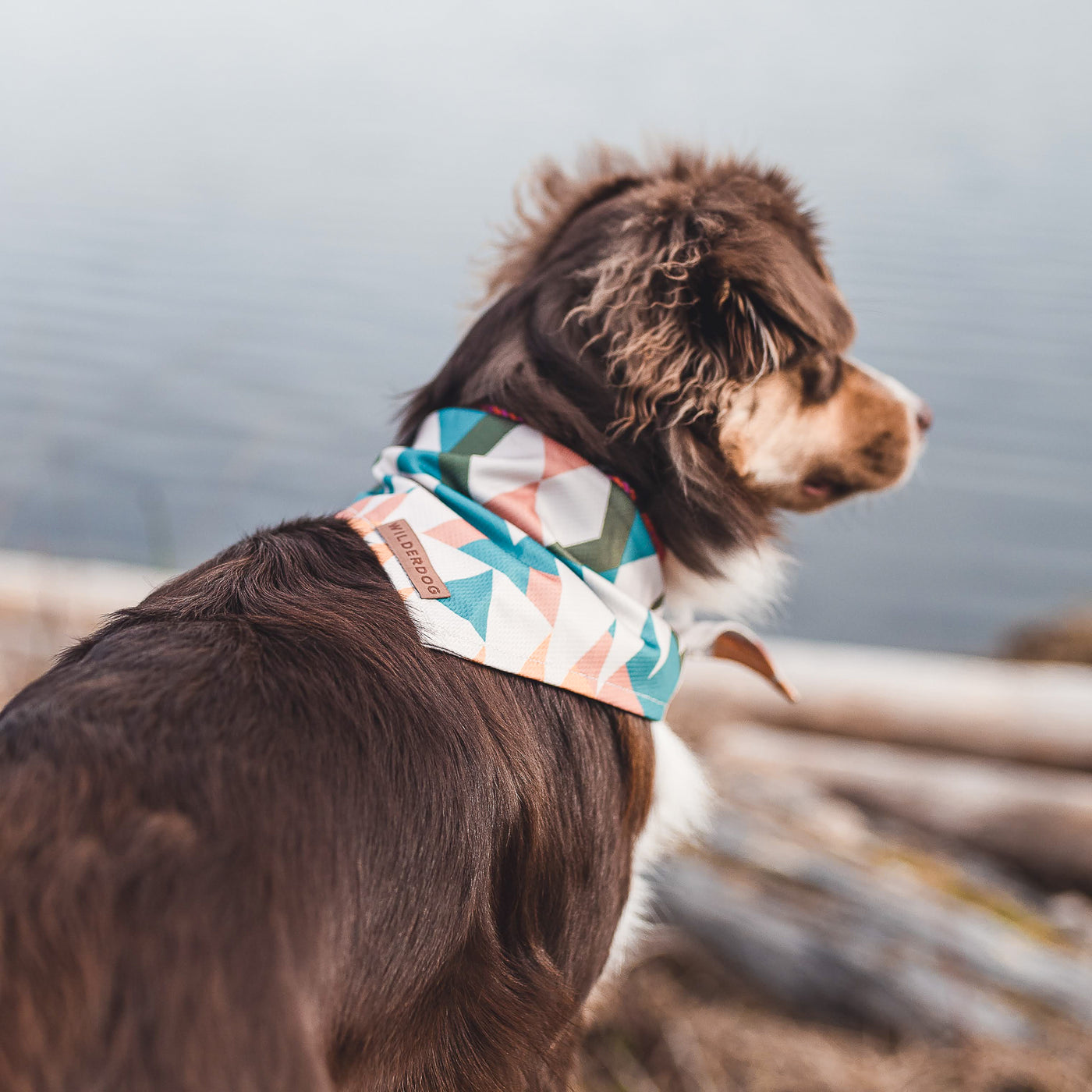 Wilderdog Dog Bandana | Cream